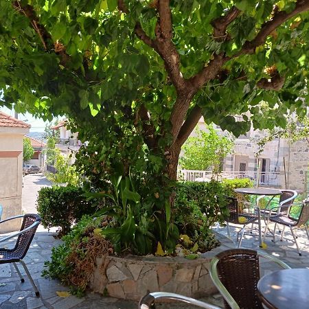 קימי Vagia'S Home מראה חיצוני תמונה