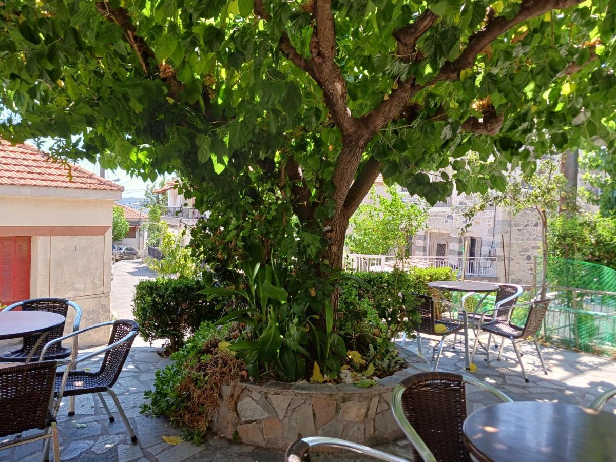 קימי Vagia'S Home מראה חיצוני תמונה